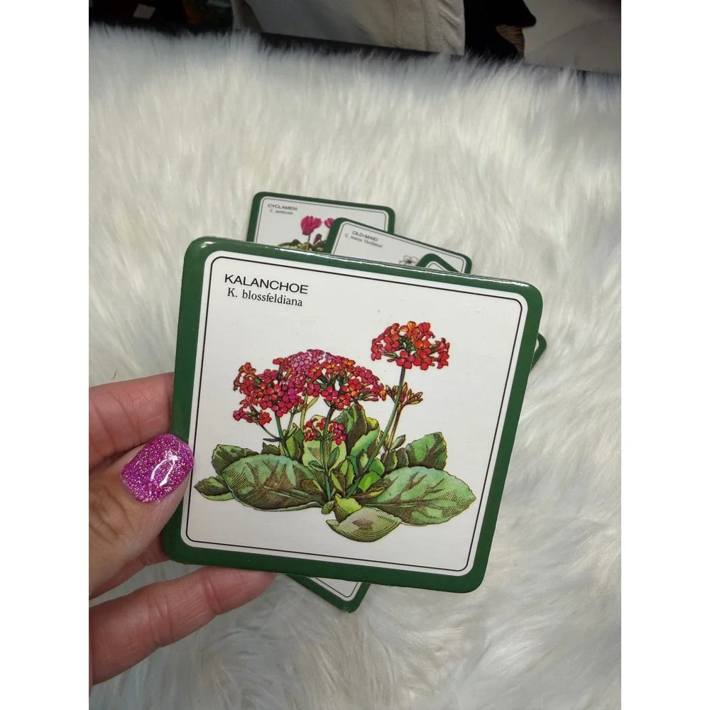 Vintage - Floral Botanical Illustration Coasters - Set of 6
